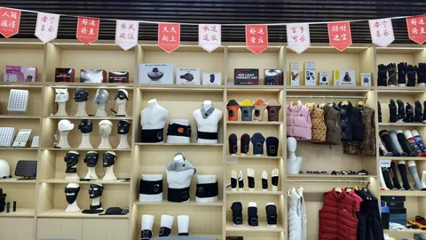 Muestras de productos y embalajes expuestos en estanterías de la sala de exposición.