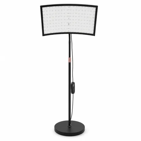 Gooseneck Floor Lamp